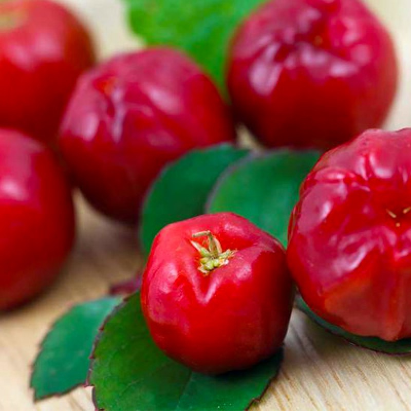 NARCISSA Aserola Superfood 200g Нарджиса Чай от Ацерола NARCISSA Aserola Superfood 200g Нарджиса Чай от Ацерола