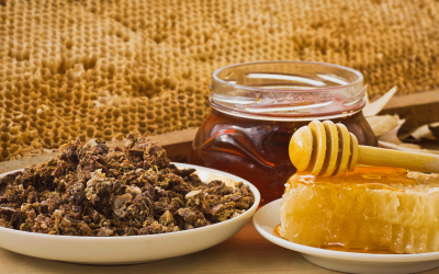 Прополисът и неговите ползи за организма