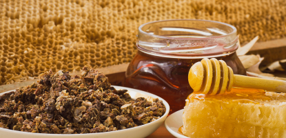 Прополисът и неговите ползи за организма