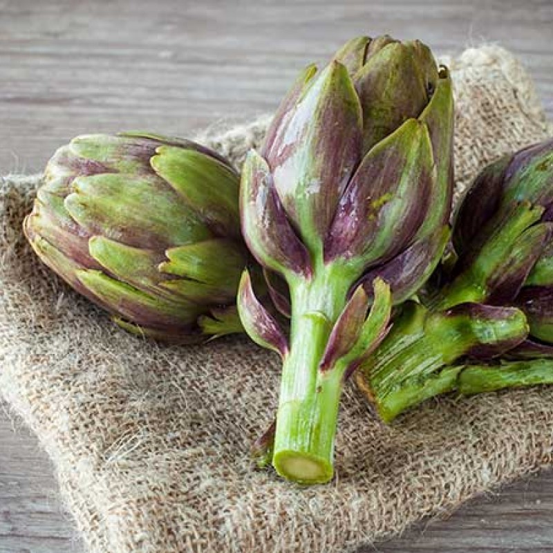 Mecitefendi Herbal Tea with Artichoke Меджитефенди Билков чай от артишок x40 Mecitefendi Herbal Tea with Artichoke Меджитефенди Билков чай от артишок x40