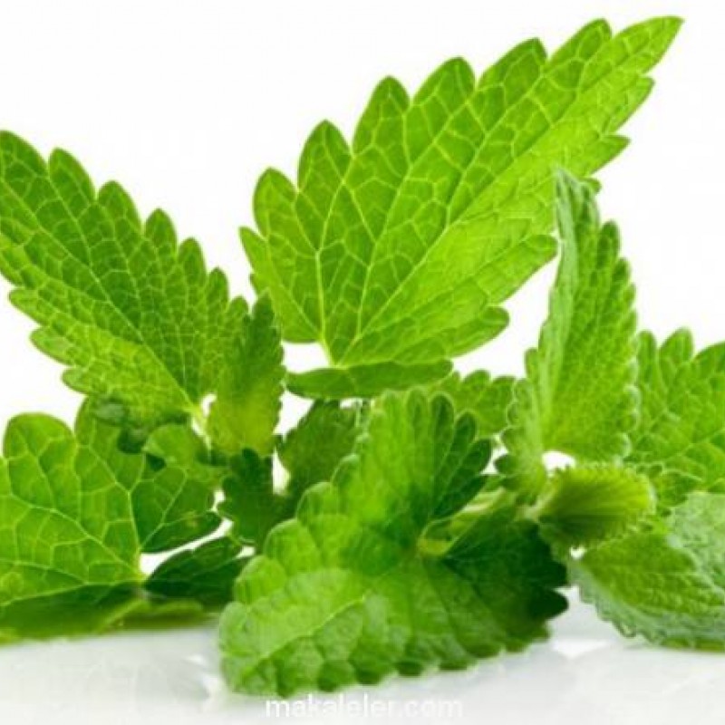 Melissa Tea Чай от маточина x 40бр. Melissa Tea Чай от маточина x 40бр.